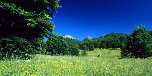 Dintorni Pineto - Parco Nazionale d'Abruzzo